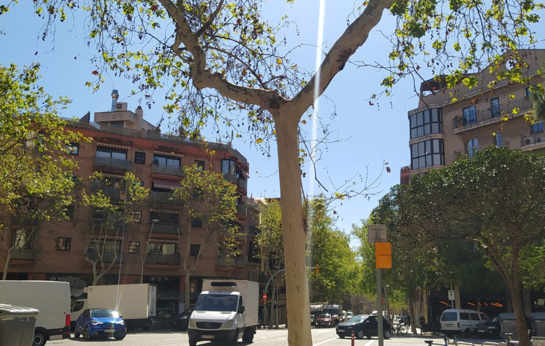 Location longue durée - Local comercial -
Barcelona - Gràcia