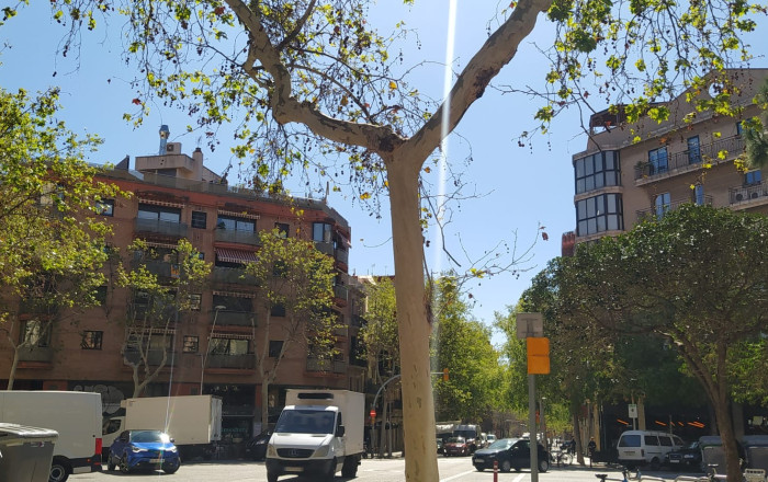 Location longue durée - Local comercial -
Barcelona - Gràcia