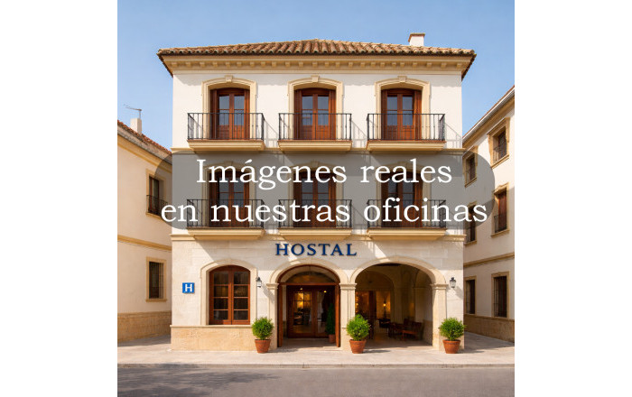 Hostal - Sale - Burgos -
                Aranda de Duero