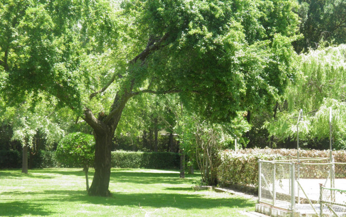 Hostal - Venta - Socuéllamos - Socuéllamos