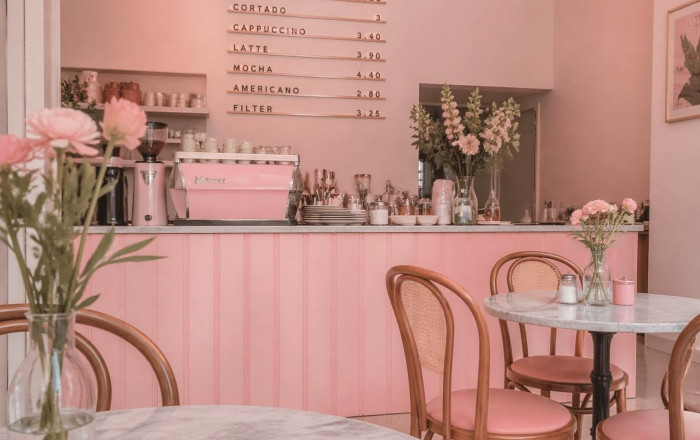 Licencia C2 - Traspaso - Barcelona - Eixample Derecho