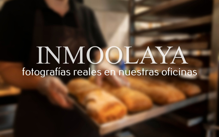 Obradores y/o Panaderias - Traspaso - Mataró -
                Via Europa - Parque Central