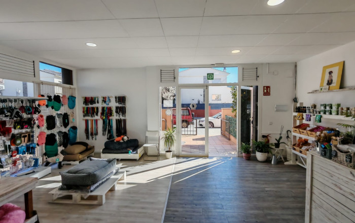 Peluquerias y Estetica - Transfer - Palau-solit&agrave; i Plegamans -
                Palau-solit&agrave; i Plegamans