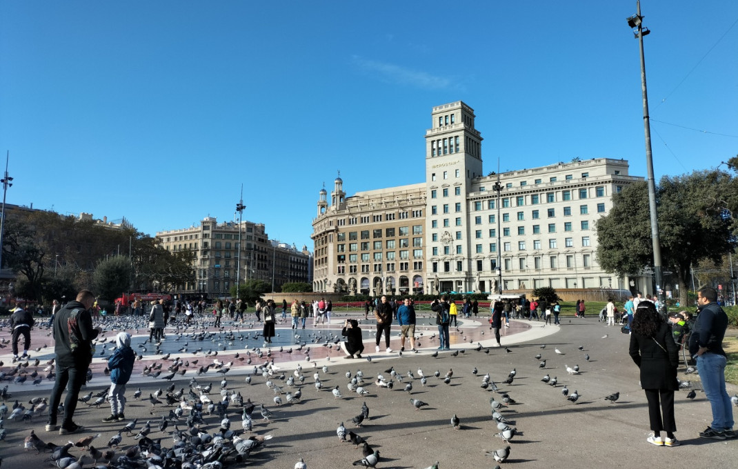 Transfer - Bar Restaurante -
Barcelona - Ciutat Vella