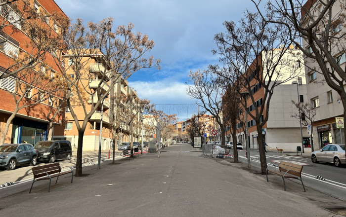 Transfer - Obradores y/o Panaderias -
Sant Feliu - Mas LLuí