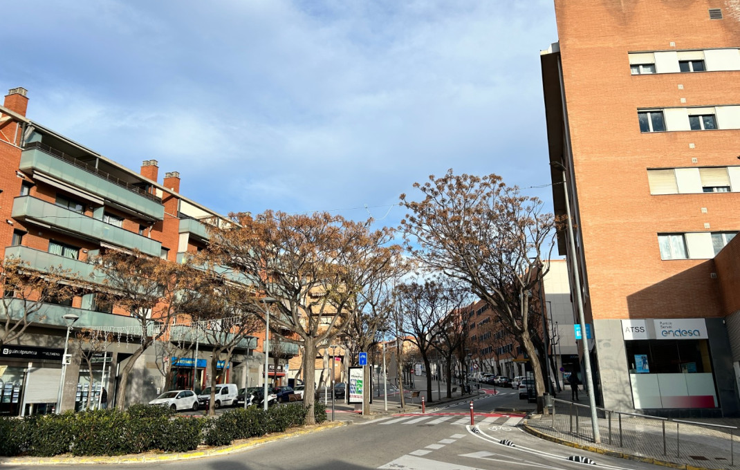 Transfer - Obradores y/o Panaderias -
Sant Feliu - Mas LLuí