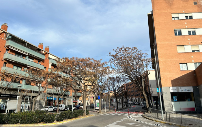 Transfer - Obradores y/o Panaderias -
Sant Feliu - Mas LLuí