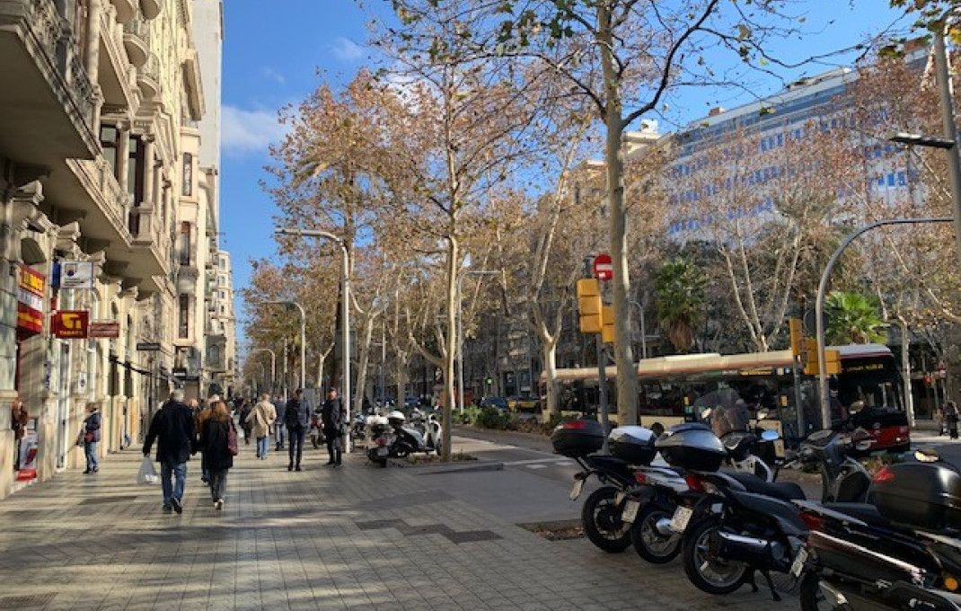 Venta - Local comercial -
Barcelona - Sarria-Sant Gervasi