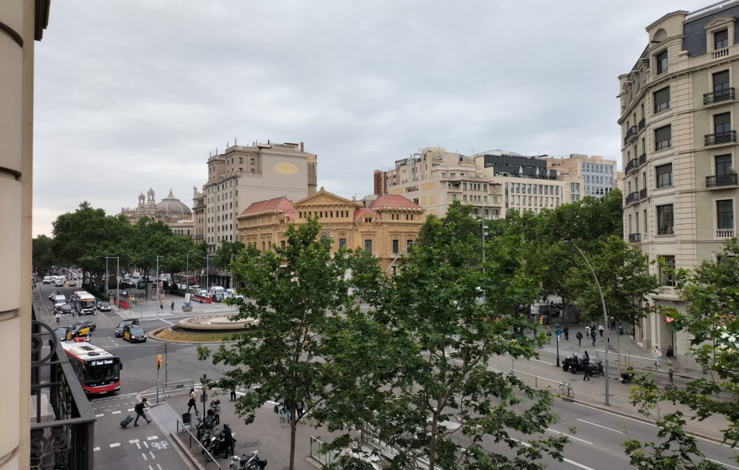 Transfer - Obradores y/o Panaderias -
Barcelona - Gràcia