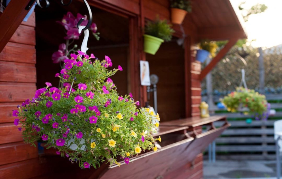 Traspaso - Discotecas - Club -
Montornés del Vallés