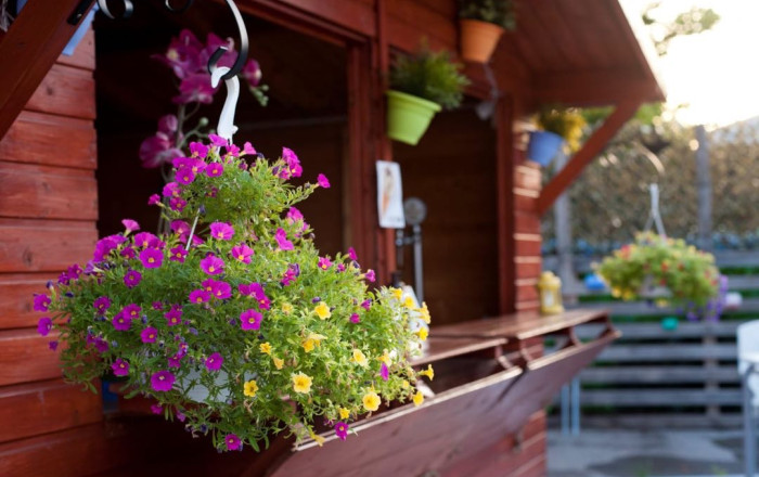 Traspaso - Discotecas - Club -
Montornés del Vallés