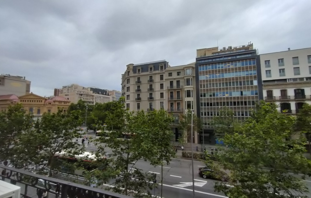 Transfer - Parada de mercado -
Barcelona - Gràcia