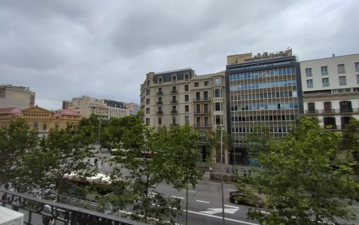 Transfer - Parada de mercado -
Barcelona - Gràcia