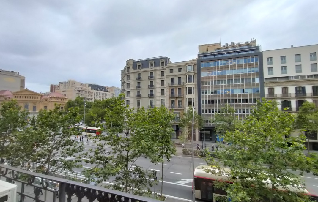 Transfer - Parada de mercado -
Barcelona - Gràcia