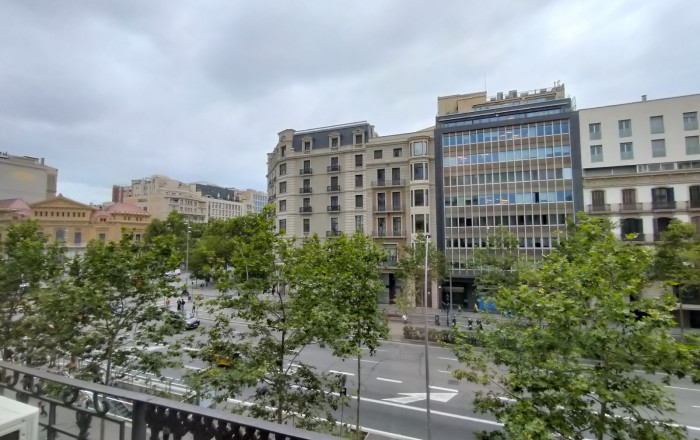 Transfer - Parada de mercado -
Barcelona - Gràcia