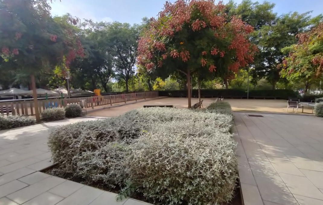 Transfer - Restaurant -
Sant Just Desvern