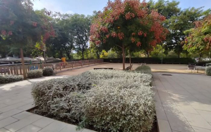 Transfer - Restaurant -
Sant Just Desvern