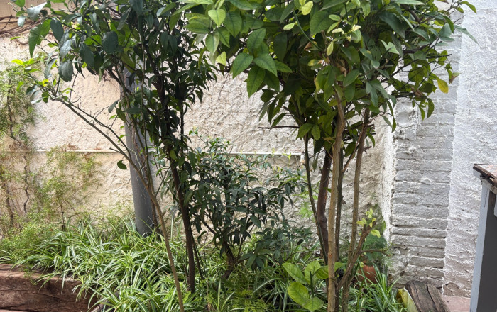 Traspaso - Bar Restaurante -
Sant Feliu