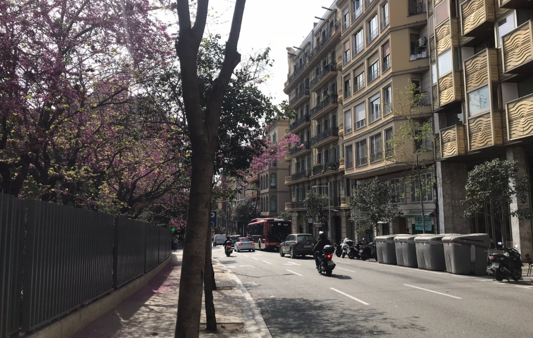 Traspaso - Bar- C1 -
Barcelona - Sant Gervasy- Bonanova