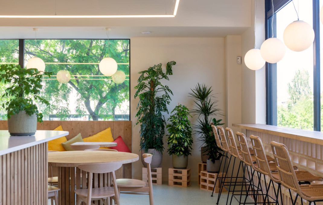 Transfer - Restaurant -
Sant Just Desvern