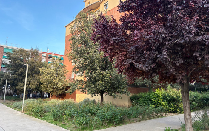 Traspaso - Bar-Cafeteria -
Sant Feliu