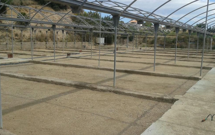 Sale - Terreno -
Arenys de Mar