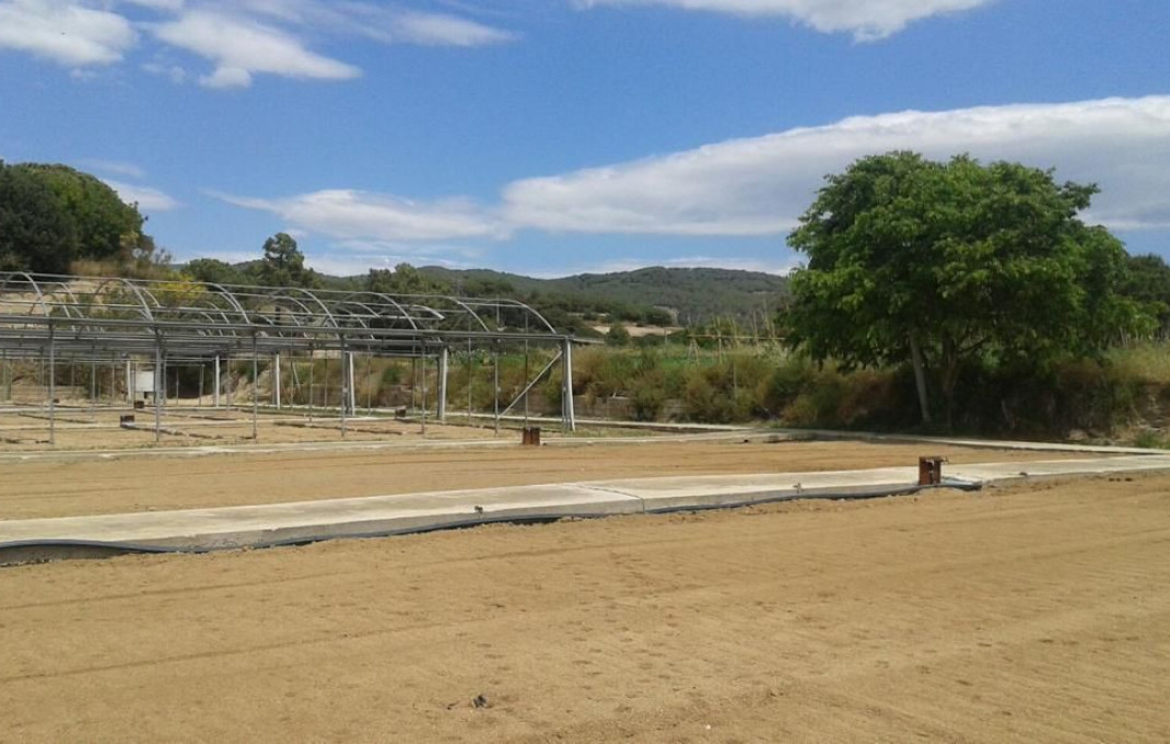 Sale - Terreno -
Arenys de Mar