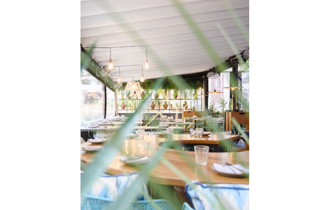 Transfert - Bar Restaurante -
Palma de Mallorca - Palma