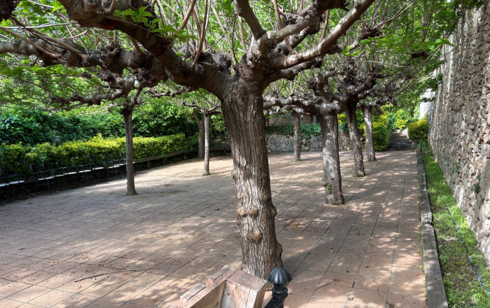 Venta - Restaurante -
Vallirana