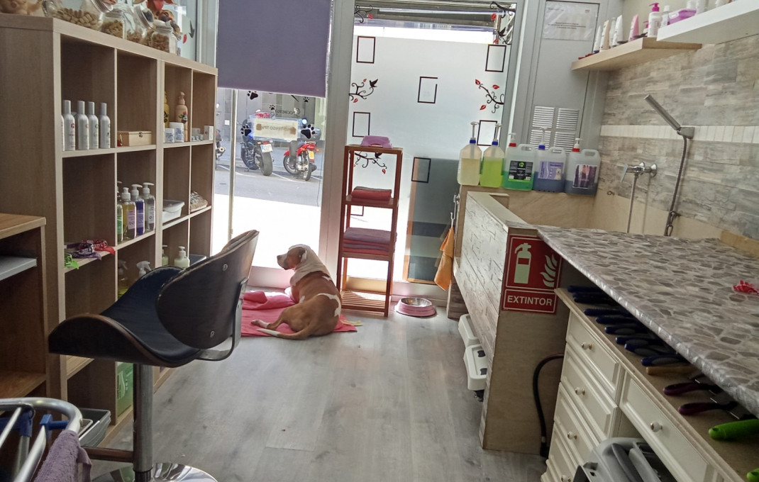 Sale - Peluquerias y Estetica -
El Masnou - Centre