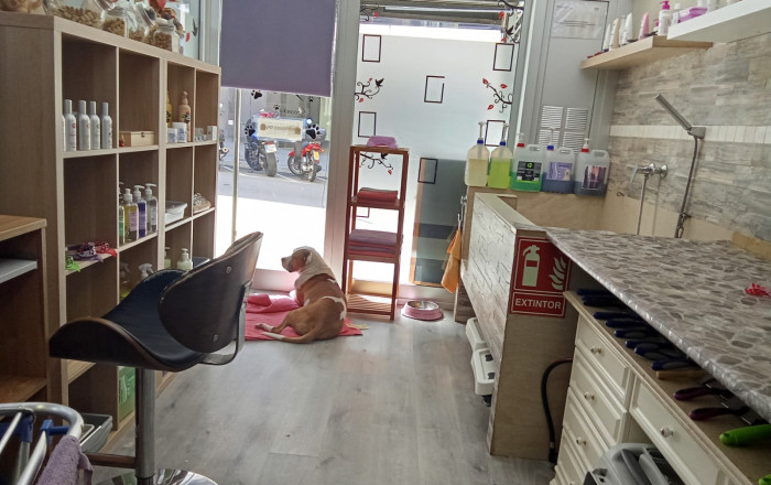 Sale - Peluquerias y Estetica -
El Masnou - Centre