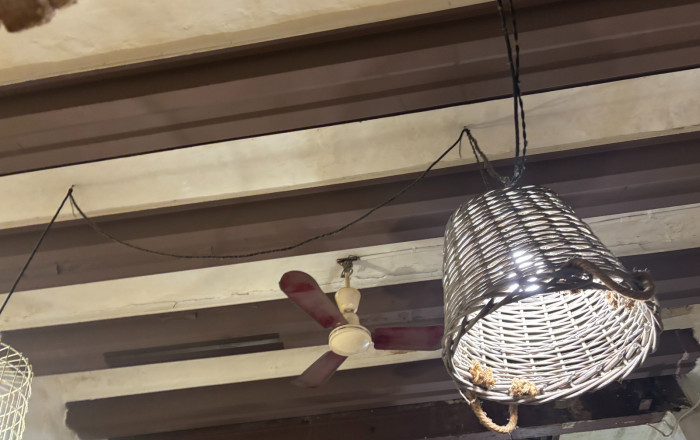 Transfer - Bar Restaurante -
Barcelona - Gótico