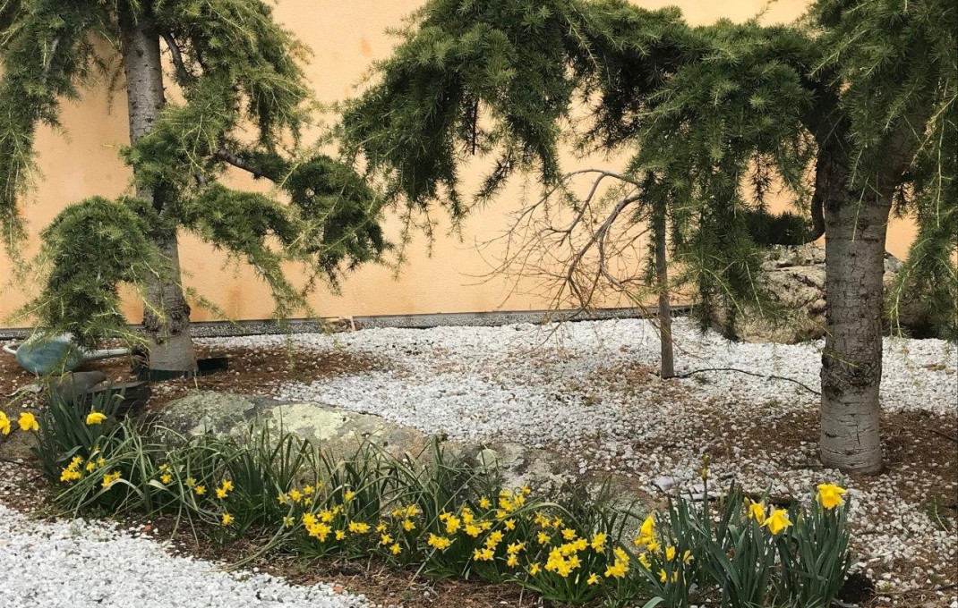 Venta - Hoteles -
San Esteban del Valle