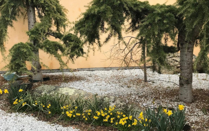 Venta - Hoteles -
San Esteban del Valle