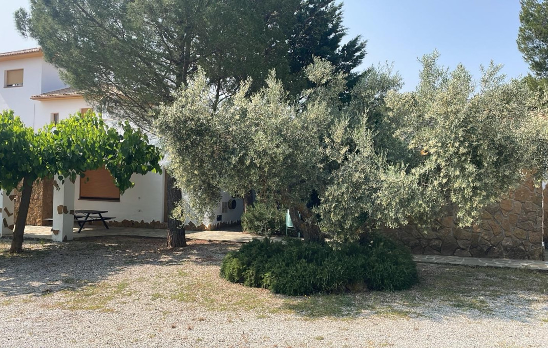 Venta - Finca - Hoteles -
Jaén  - Pozo Alcón