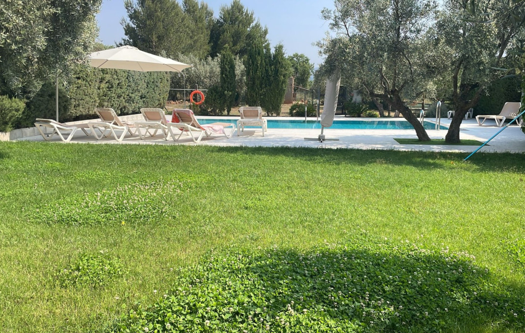 Venta - Finca - Hoteles -
Jaén  - Pozo Alcón