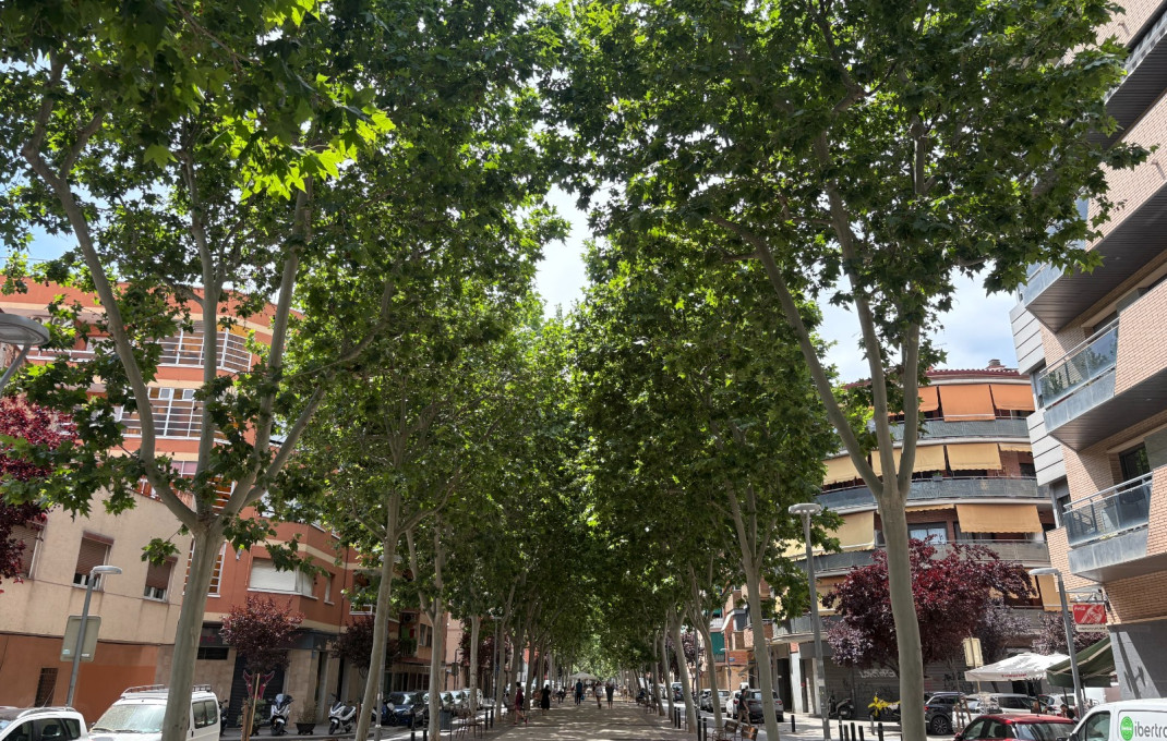 Traspaso - Bar Restaurante -
Cornella de Llobregat