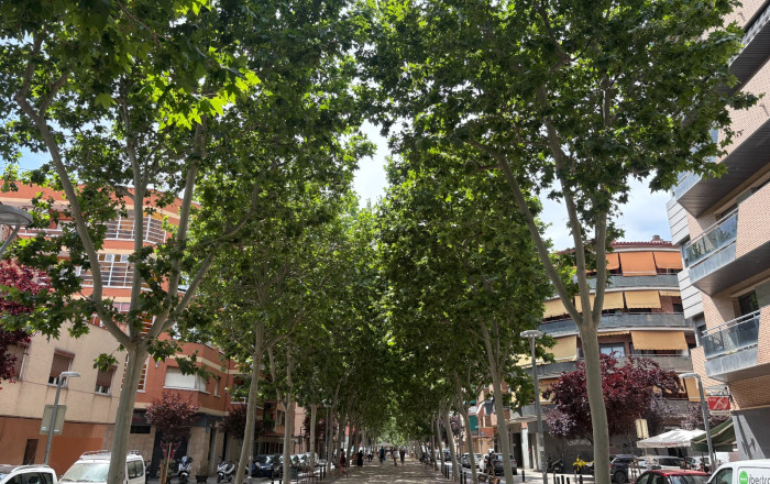 Traspaso - Bar Restaurante -
Cornella de Llobregat