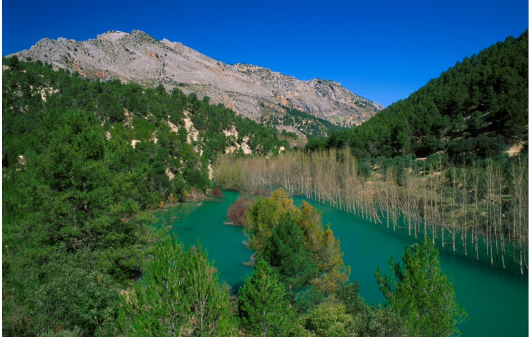 Venta - Hoteles -
Granada - Castril