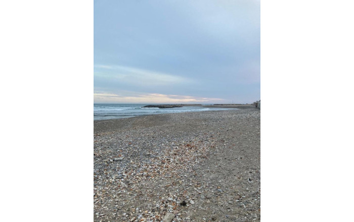 Transfer - Bar Restaurante -
Sitges