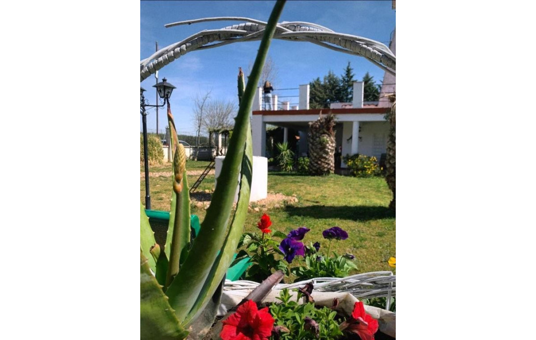 Venta - Hoteles -
Badajoz - Montijo