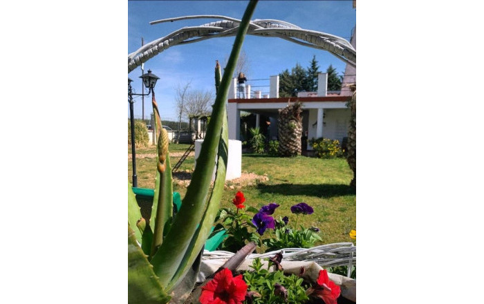 Venta - Hoteles -
Badajoz - Montijo