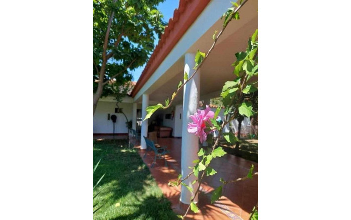 Venta - Hoteles -
Badajoz - Montijo