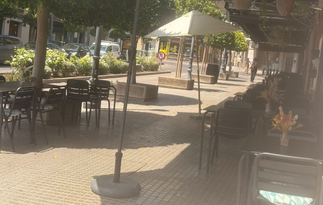 Transfert - Bar Restaurante -
Manacor