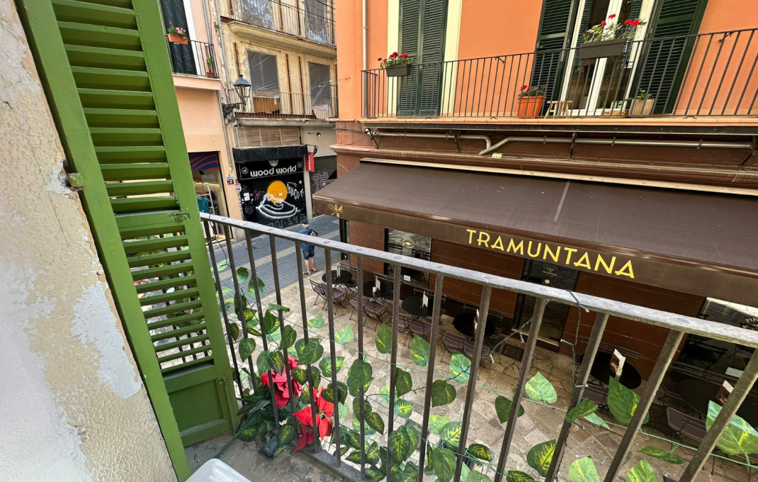 Traspaso - Cafeteria -
Mallorca - Palma