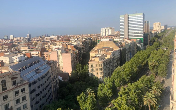 Transfert - Peluquerias y Estetica -
Barcelona - Sarriá - Francesc Macia