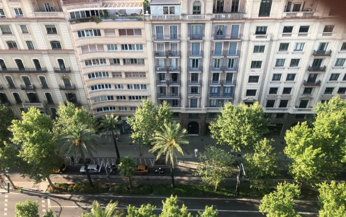 Transfert - Peluquerias y Estetica -
Barcelona - Sarriá - Francesc Macia