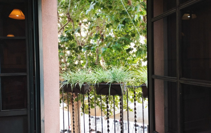 Traspaso - Bar Restaurante -
Mataró