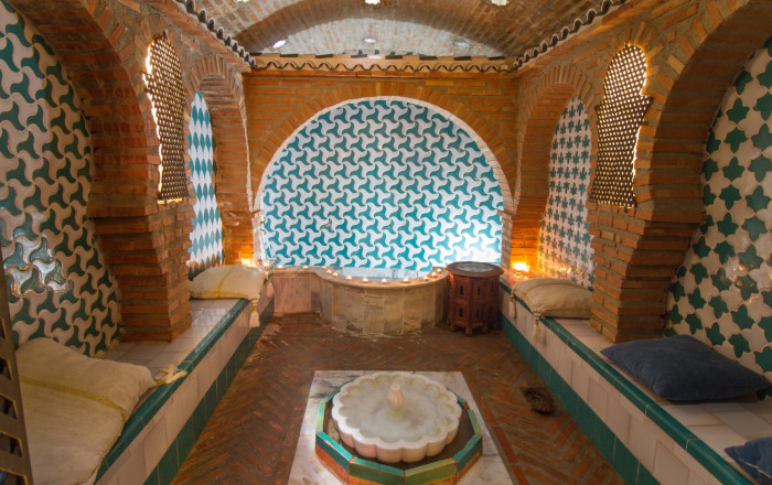 Venta - Hoteles -
Granada - Nigüelas