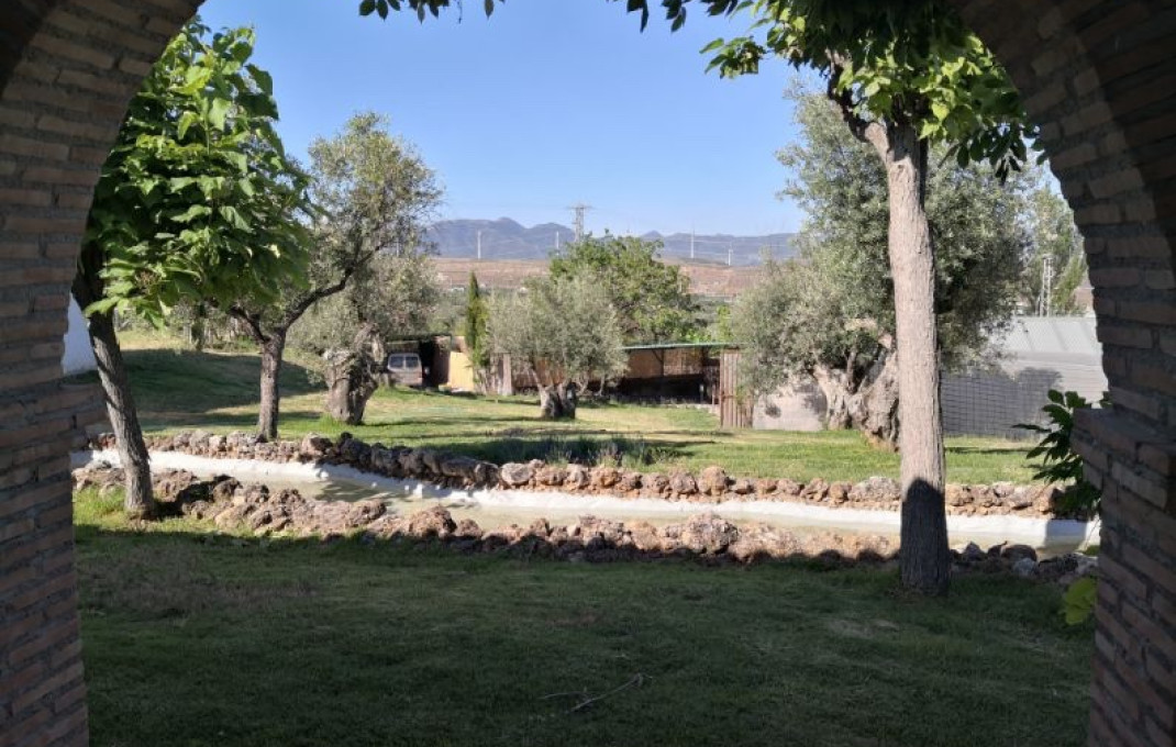 Venta - Hoteles -
Granada - Nigüelas